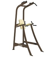 Leg raise chair with pull-up bar Free Weights