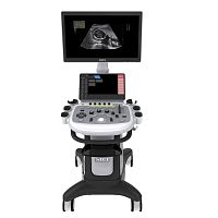 On-platform ultrasound system Apogee 5300 Elitefor multipurpose ultrasound imagingfor gynecological and obstetric ultrasound imagingfor abdominal and pelvic ultrasound imaging