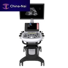 On-platform ultrasound system Apogee 5300 Elitefor multipurpose ultrasound imagingfor gynecological and obstetric ultrasound imagingfor abdominal and pelvic ultrasound imaging