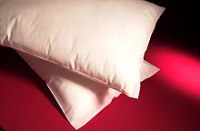 Airliner pillow