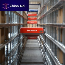 Shuttle storage system X-PTS®