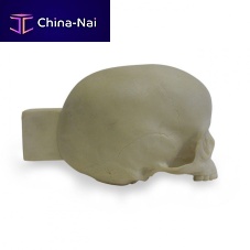 Skull model 9015for teachingchild