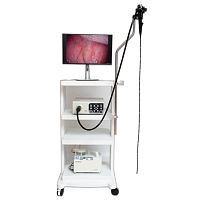 Video veterinary gastroscope HU37Tfor small animalsfor large animalswith working channel