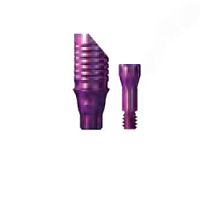 Titanium implant abutment COPAETBMinternalstraightscrew