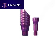 Titanium implant abutment COPAETBMinternalstraightscrew