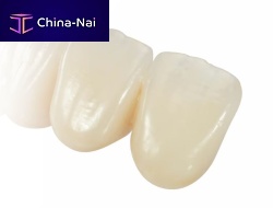 Zirconia dental prosthesis Prime