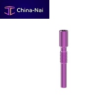 Titanium implant screw 001256temporarystraightscrew