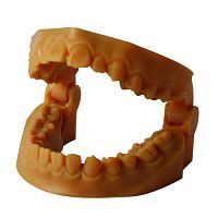 Resin dental material Modelfor dental restorationsorthodonticfor 3D printing