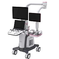On-platform ultrasound system IBUSfor multipurpose ultrasound imagingfor gynecological and obstetric ultrasound imagingfor breast ultrasound imaging