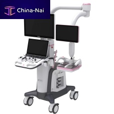 On-platform ultrasound system IBUSfor multipurpose ultrasound imagingfor gynecological and obstetric ultrasound imagingfor breast ultrasound imaging