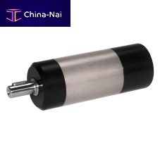 Vane air motor R seriesflange