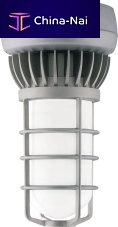 Traditional ceiling light 13WLED