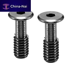 Fastening screw SSCHSextra-low-profile headhex socketstainless steel