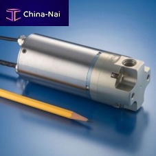 Radial piston pump 200 fuelwith brushless DC motorself-priming