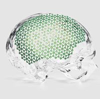 Cranial implant CranioCurve®