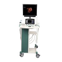On-platform ultrasound system Orcheo XQfor multipurpose ultrasound imagingB/Wcolor doppler