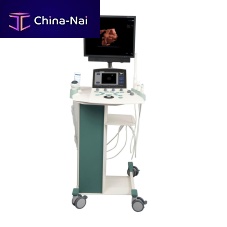 On-platform ultrasound system Orcheo XQfor multipurpose ultrasound imagingB/Wcolor doppler