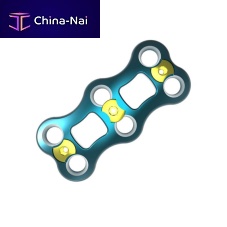 Cervical arthrodesis plate WALEN