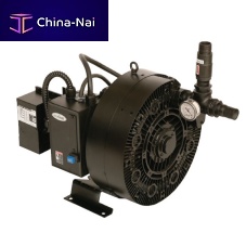 Lubricated vacuum pump RG seriessingle-stageregenerativefor the plastics industry