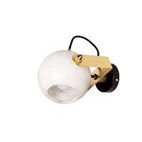 Contemporary wall light COLETTEindoorbrasslacquered steel
