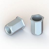 Rivet nut E TFM/Chexagonalzinc-plated steelflush