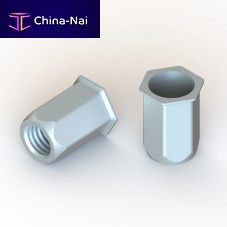 Rivet nut E TFM/Chexagonalzinc-plated steelflush