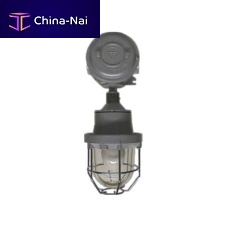 Lamp EW seriesLEDjob-site