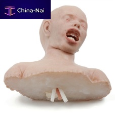 Training simulator 160430for teachingairway managementintubation