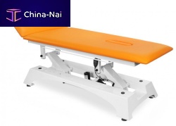 Electric massage table TSR 22-section