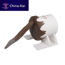 Rectal examination simulator VET4650veterinarycaninesilicone