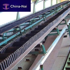Modular conveyor belt DJBindustrialsidewall