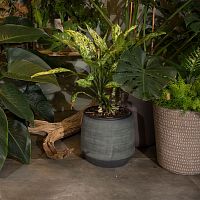 Resin plant pot roundovalhome