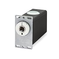 Rotary actuator RD5electricwith brake