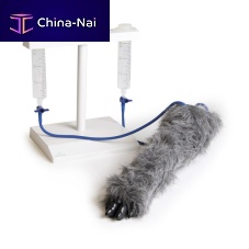 Intravenous injection simulator VET4610veterinarycaninehand