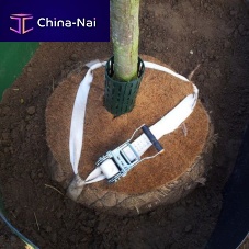 Underground rootball fixing system BIO