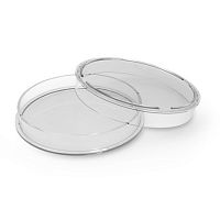 Petri dish