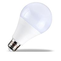 LED bulb LY-A80