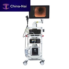 Gastroenterological endoscopy column COMBO-3