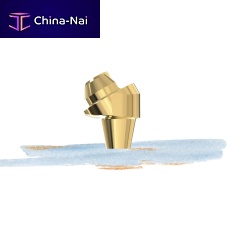 Titanium implant abutment All-on-Xinternal hexagonexternalangled