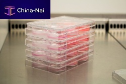 Cutaneous tissue matrix Poieskin®collagen