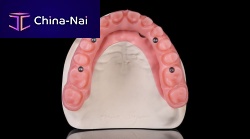 Resin dental material Basic Mono Pinkgingival