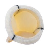 Aortic valve bioprosthesis Dokimos® Plusbovine tissue