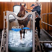 Underwater veterinary treadmill ECB AQUAfor horses