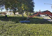Hydraulic hedge trimmer for excavators