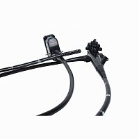 Video gastroscope COMBO G34
