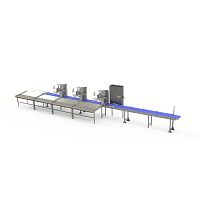 Sorting system for the food industry belt