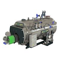 Steam boiler biomass