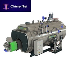 Steam boiler biomass