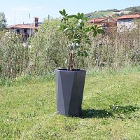 Stainless steel plant pot Low Resgalvanised steelCOR-TEN® steelhigh