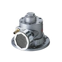 ATEX air motor FPM